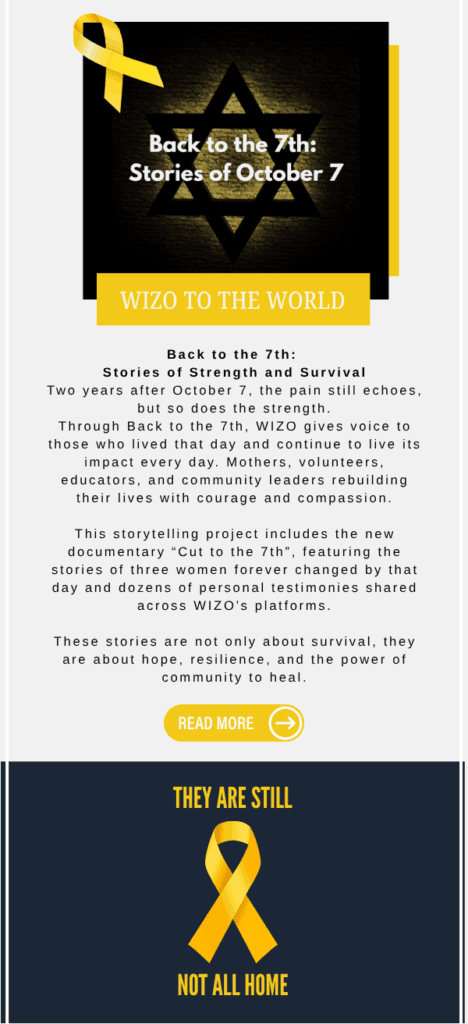 wizo review november 2025 08
