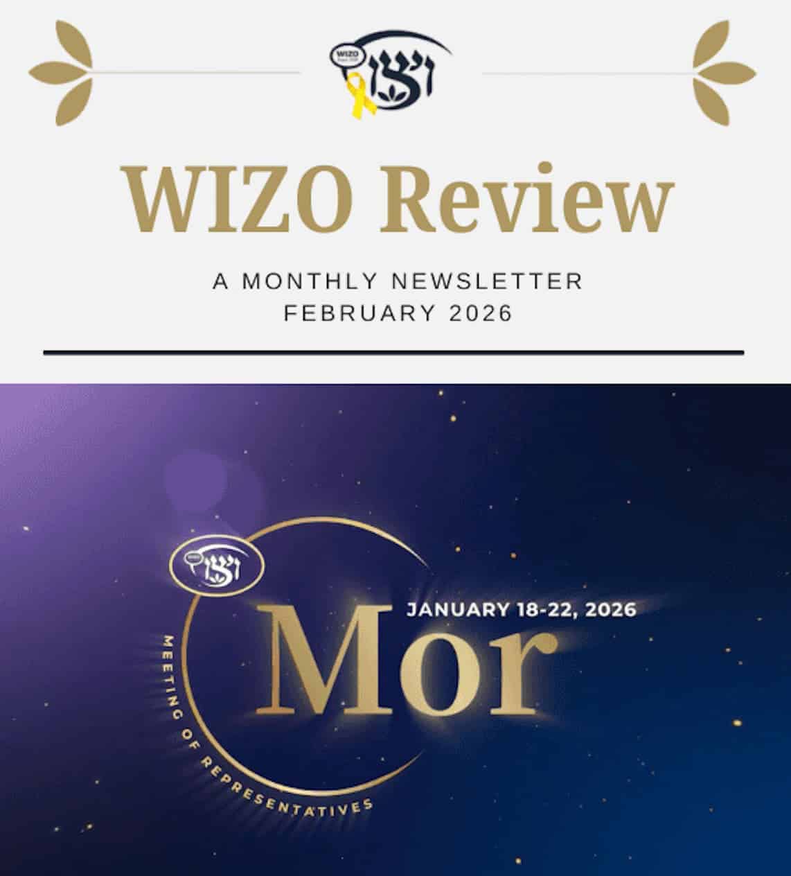 wizo review feb 2026